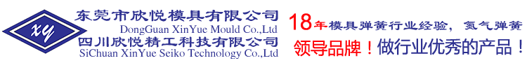 东莞市欣悦模具有限公司